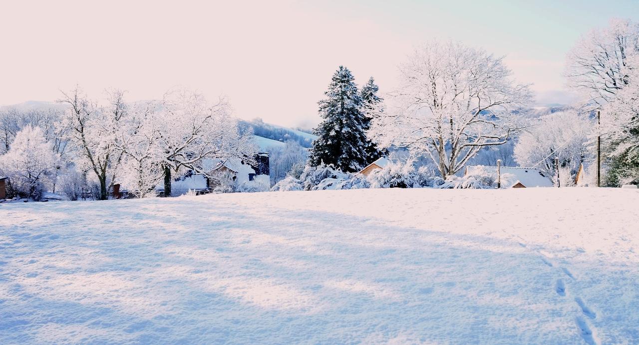 Domaine Des Marequiers Chambre Alchemille Saint-Germain-du-Teil Exterior foto